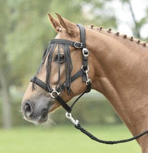 BUSSE Fliegenkordelband Tampere Fliegenstirnband Schwarz WB | kavalio - für mich und mein Pferd