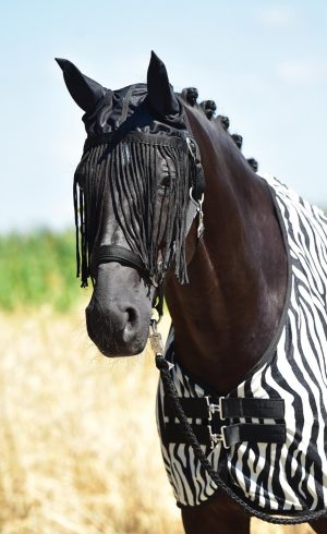 BUSSE Fliegenschutz Ohrenschutz Fly Protector mit Fransen Insektenschutz Schwarz VB | kavalio - für mich und mein Pferd