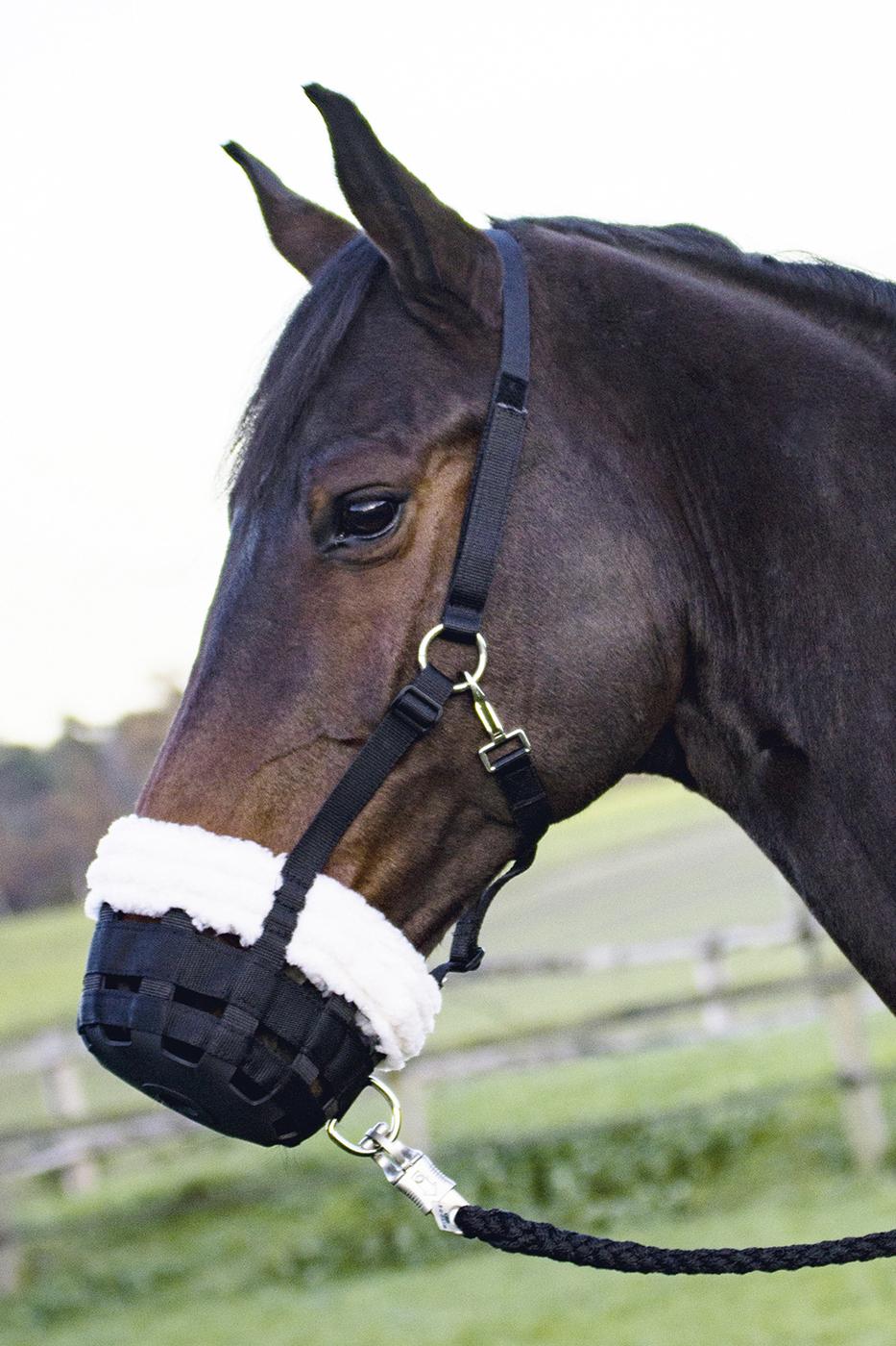 BUSSE Fressbremse Comfy zur Reduzierung der Nahrungsaufnahme Schwarz Warmblut | kavalio - für mich und mein Pferd
