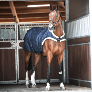 BUSSE Führanlagendecke Trainer 50 Navy 155 | kavalio - für mich und mein Pferd