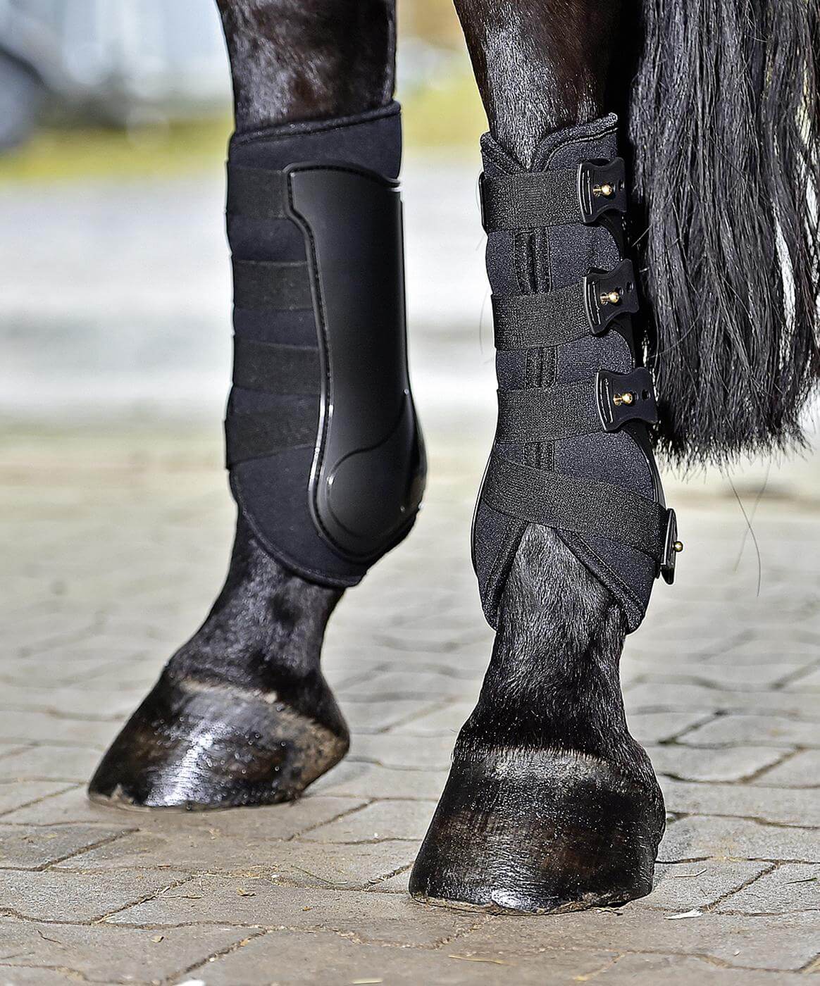 BUSSE Gamaschen Dressage- Pro Beinschutz Schwarz XL | kavalio - für mich und mein Pferd