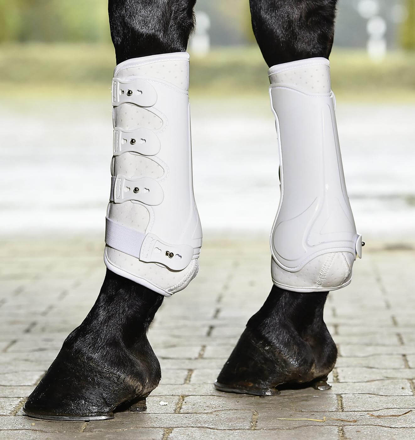 BUSSE Gamaschen Dressage- Pro Beinschutz Weiß S | kavalio - für mich und mein Pferd