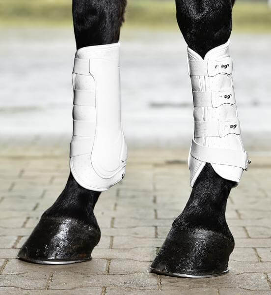 BUSSE Gamaschen Dressage- Pro Beinschutz Weiß L | kavalio - für mich und mein Pferd – Bild 2