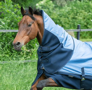 BUSSE Halsteil 3D Air Rain Eisblau/Navy M | kavalio - für mich und mein Pferd