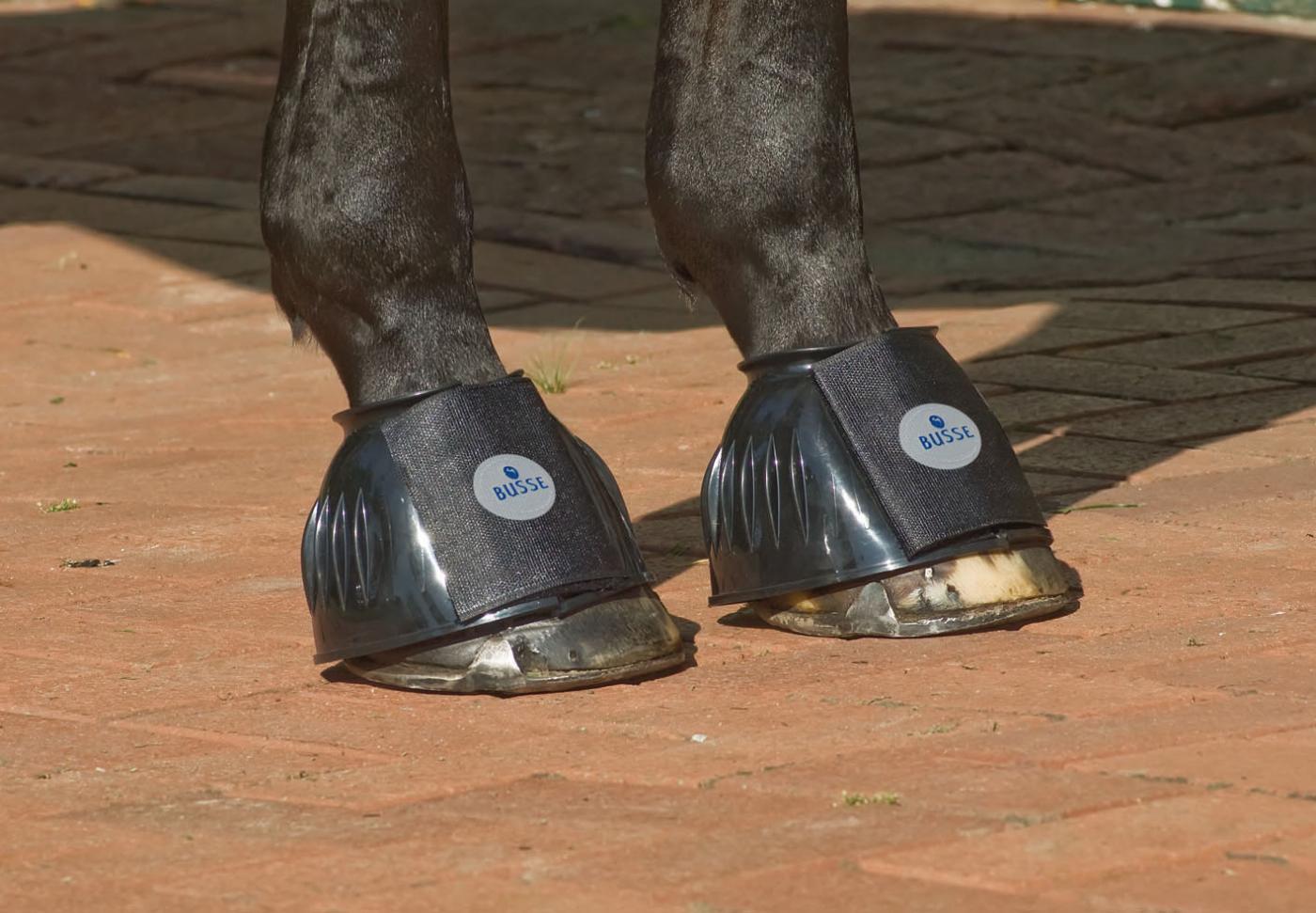 BUSSE Hufglocken Sturdy Klettverschluss Gummiglocken Schwarz S | kavalio - für mich und mein Pferd