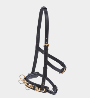 BUSSE Kappzaum Professional Schwarz/Messing WB | kavalio - für mich und mein Pferd