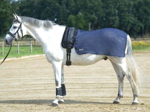 BUSSE Longierdecke Fly Fliegendecke Navy 155 | kavalio - für mich und mein Pferd