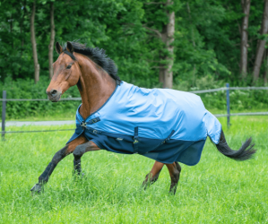 BUSSE Outdoordecke 0g 3D Air Rain Regendecke Eisblau/Navy 140 | kavalio - für mich und mein Pferd