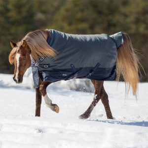 BUSSE Outdoordecke 150g Active Pro Weidedecke Anthrazit/Navy 145 | kavalio - für mich und mein Pferd