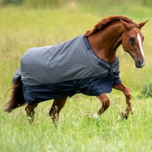 BUSSE Outdoordecke 50g Active Pro Weidedecke Anthrazit/Navy 135 | kavalio - für mich und mein Pferd