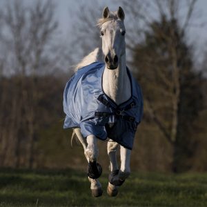 BUSSE Outdoordecke 50g Windchill Weidedecke Eisblau (Navy) 155 | kavalio - für mich und mein Pferd