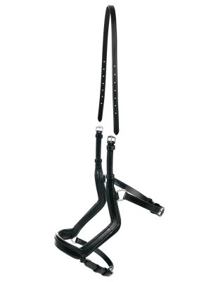 BUSSE Reithalfter Modena Ledertrense Schwarz | kavalio - für mich und mein Pferd