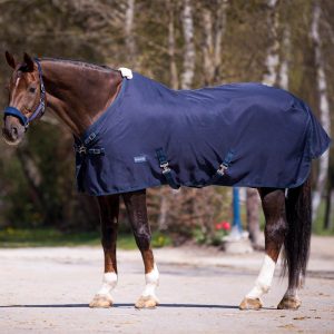 BUSSE Sommerdecke 0g Early Season Übergangsdecke Navy 165 | kavalio - für mich und mein Pferd