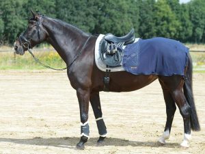 BUSSE Trainingsdecke Fly Fliegendecke Navy 135 | kavalio - für mich und mein Pferd