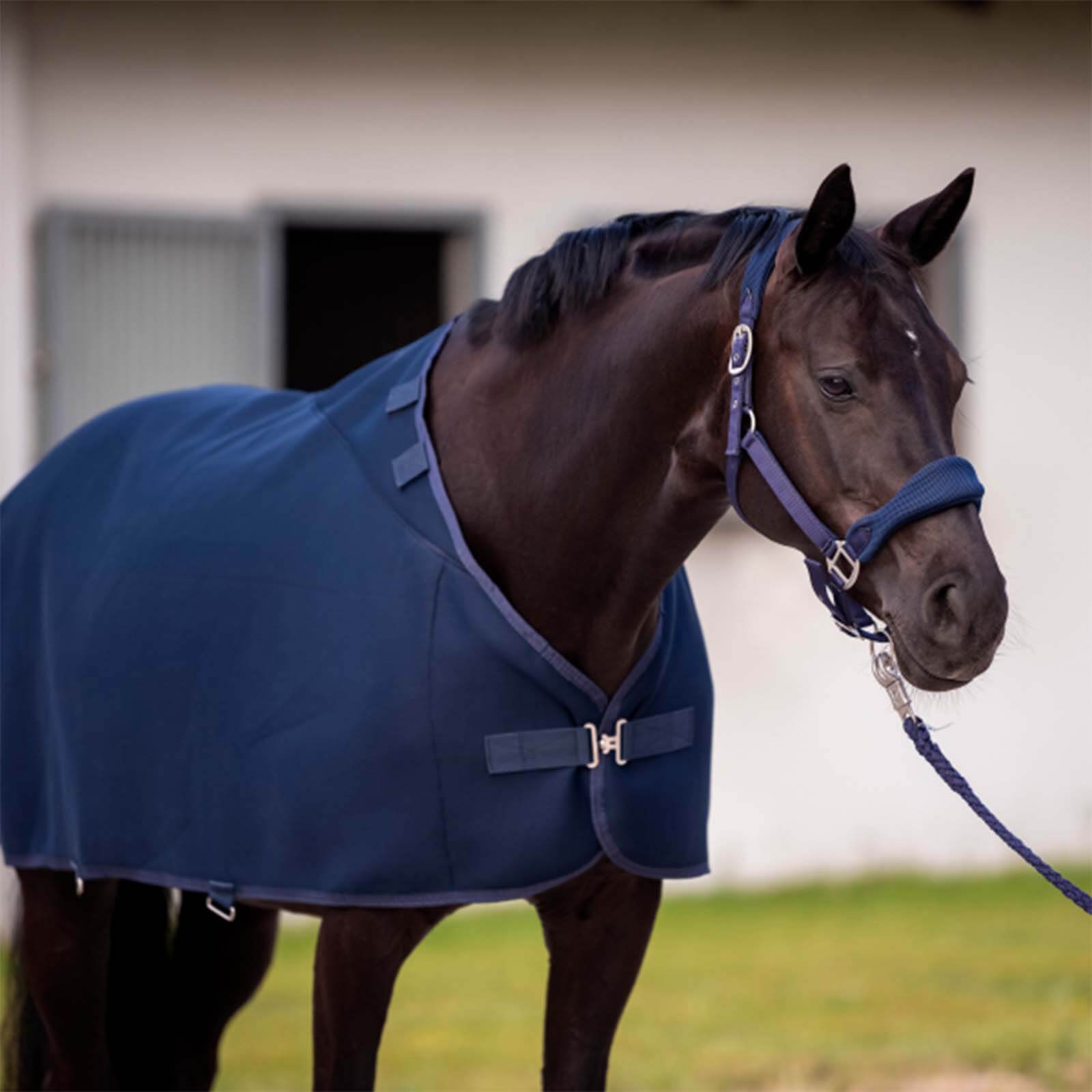 BUSSE Unterdecke 0g 3D Air Pro Liner Navy 155 | kavalio - für mich und mein Pferd – Bild 2
