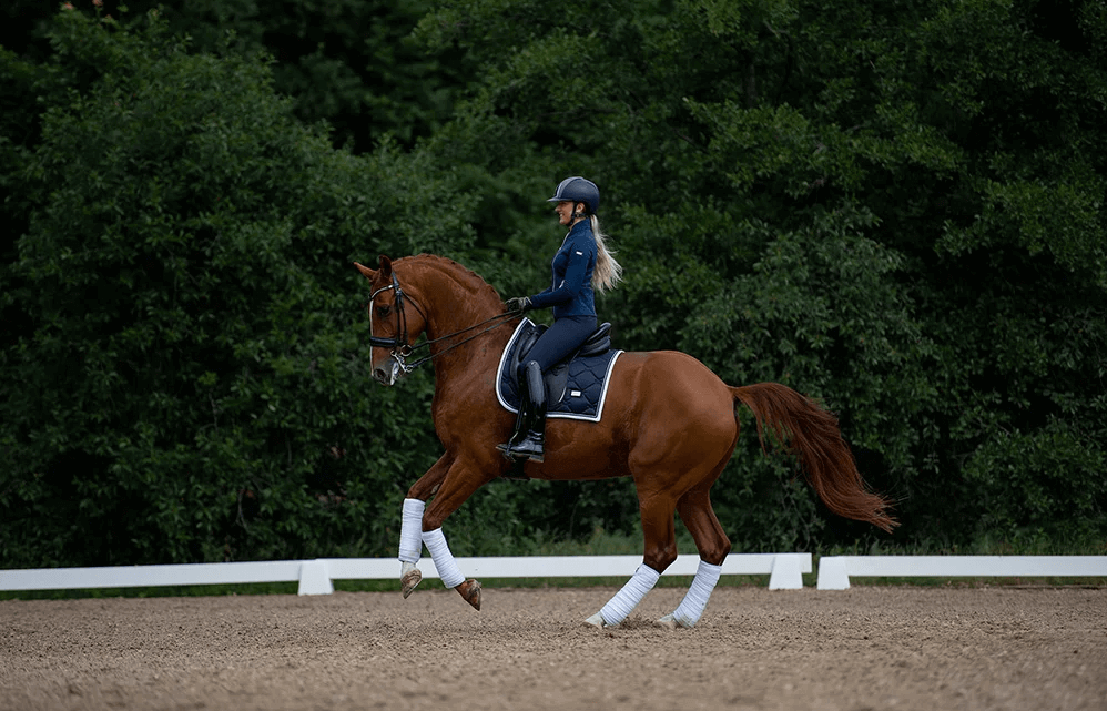 Equestrian Stockholm Dressurschabracke Midnight Blue White Edge Sattelunterlage Cob | kavalio - für mich und mein Pferd – Bild 2