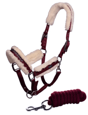 Equestrian Stockholm Halfter + Führstrick Bordeaux Stallhalfter Pony | kavalio - für mich und mein Pferd