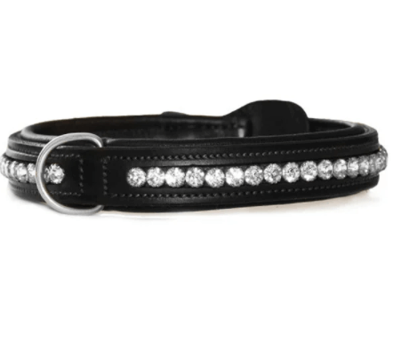 Equestrian Stockholm Hundehalsband Black Edition 30 cm | kavalio - für mich und mein Pferd