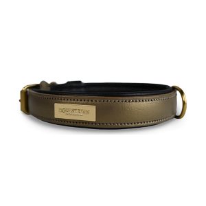 Equestrian Stockholm Hundehalsband Clean Black Gold Black/Gold 30 cm | kavalio - für mich und mein Pferd