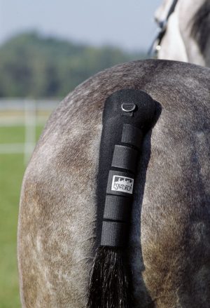 Eskadron Schweifschoner Neopren Schwarz | kavalio - für mich und mein Pferd