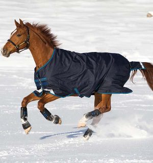 Horseware Ireland Outdoordecke 100g Amigo® Bravo 12 Original Weidedecke Black/Titanium Grey & Silver 140 (6'3) | kavalio - für mich und mein Pferd