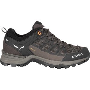 Salewa Damen MTN Trainer Lite GTX Schuhe