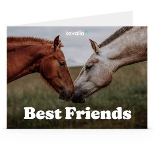 kavalio Gutschein 300 € - zum Ausdrucken | kavalio - für mich und mein Pferd