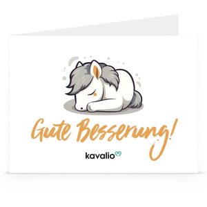 kavalio Gutschein 44 € - zum Ausdrucken | kavalio - für mich und mein Pferd