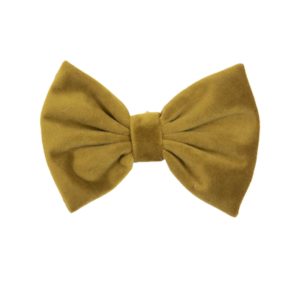 Kentucky Dogwear Hunde Accessoire Samtfliege Bow Tie Velvet Mustard S | kavalio - für mich und mein Pferd