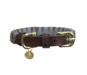 Kentucky Dogwear Hunde Halsband Triangle Hundehalsband XXS (31cm) | kavalio - für mich und mein Pferd