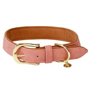 Kentucky Dogwear Hundehalsband Vegan Leder Peach XXS | kavalio - für mich und mein Pferd