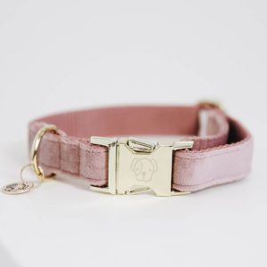 Kentucky Dogwear Hundehalsband Velvet Halsband Old Rose XXS | kavalio - für mich und mein Pferd