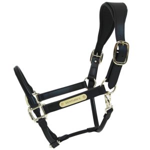 Kentucky Horsewear Lederhalfter Anatomic Schwarz Cob | kavalio - für mich und mein Pferd