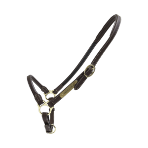 Kentucky Horsewear Stallhalfter Leder Braun Cob | kavalio - für mich und mein Pferd