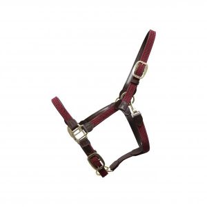 Kentucky Horsewear Stallhalfter Plaited Nylon Halfter Nylonhalfter Bordeaux Full | kavalio - für mich und mein Pferd
