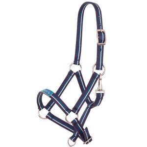 Premiere Fohlenhalfter Fun Midnight Navy Fohlen | kavalio - für mich und mein Pferd