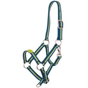 Premiere Fohlenhalfter Fun Petrol Fohlen XS | kavalio - für mich und mein Pferd
