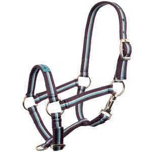 Premiere Fohlenhalfter Fun Violett Fohlen XS | kavalio - für mich und mein Pferd