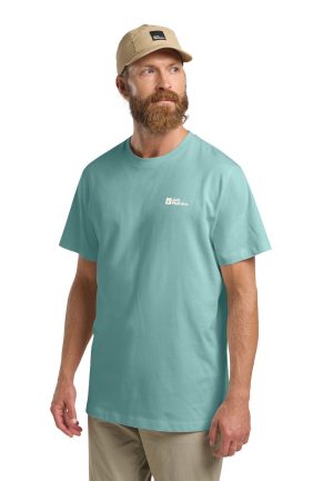 Jack Wolfskin Jack Wolfskin Essential T-Shirt Men T-Shirt aus Bio-Baumwolle Herren XXXL green soft jade – soft jade XXXL