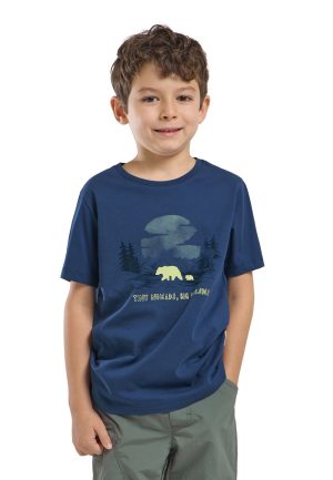Jack Wolfskin Jack Wolfskin Graphic Cotton T-Shirt Kids T-Shirt aus Bio-Baumwolle Kinder 152 multi color PRINT evening sky – PRINT evening sky 152