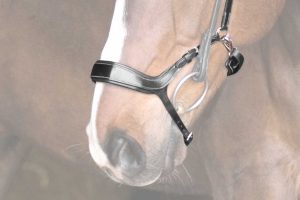 PS of Sweden Nasenriemen Pioneer Braun | kavalio - für mich und mein Pferd