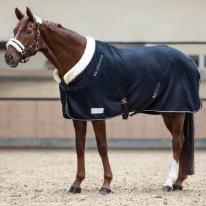 Waldhausen Abschwitzdecke Modern Rosé Nachtblau 145 cm | kavalio - für mich und mein Pferd