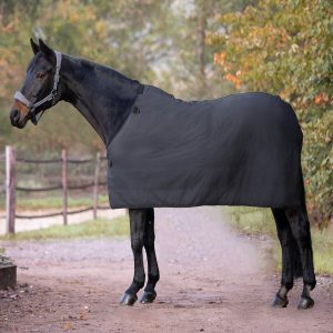 Waldhausen Unterdecke 0g Economic Fleece 125 cm | kavalio - für mich und mein Pferd