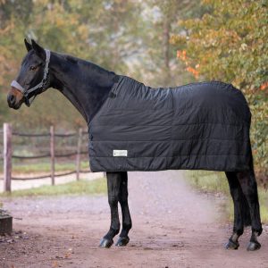 Waldhausen Unterdecke 200g Economic Thermo 155 cm | kavalio - für mich und mein Pferd