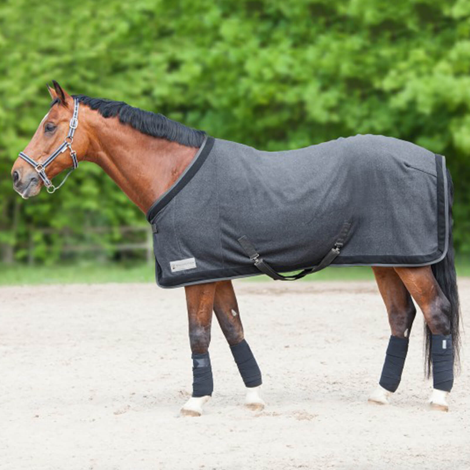 Waldhausen Abschwitzdecke Comfort Esperia Two Fleecedecke Magnet/Schwarz 125 cm | kavalio - für mich und mein Pferd