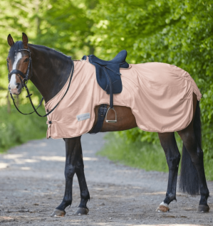 Waldhausen Fliegen-Ausreitdecke Protect Hellrosa 165 | kavalio - für mich und mein Pferd