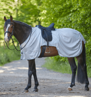 Waldhausen Fliegen-Ausreitdecke Protect Silbergrau 155 | kavalio - für mich und mein Pferd