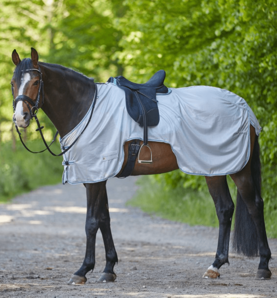 Waldhausen Fliegen-Ausreitdecke Protect Silbergrau 155 | kavalio - für mich und mein Pferd