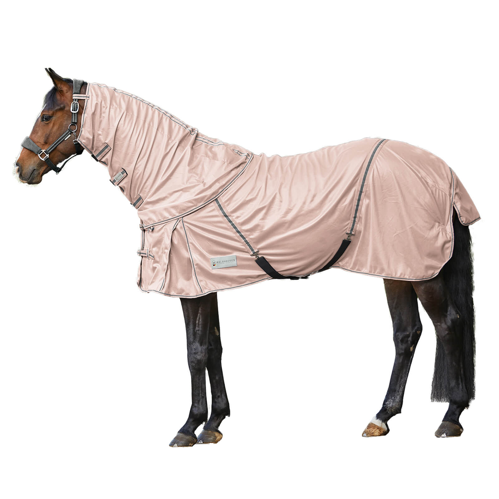 Waldhausen Fliegendecke Protect mit Halsteil Hellrosa 115 | kavalio - für mich und mein Pferd