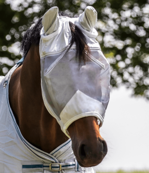 Waldhausen Fliegenmaske Premium mit Ohrenschutz Silbergrau Vollblut | kavalio - für mich und mein Pferd